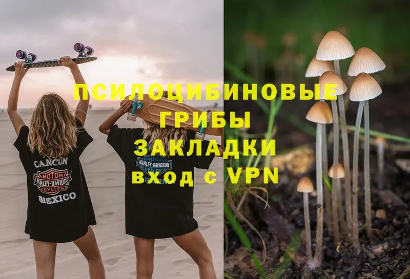 Галлюциногенные грибы MAGIC MUSHROOMS  наркошоп  дарк нет официальный сайт  Кумертау 